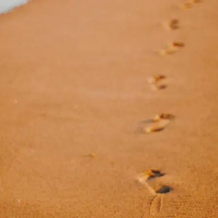 Au Bord De La Avec Parking A - Fr-1-652-55 * Saint-Hilaire-de-Riez