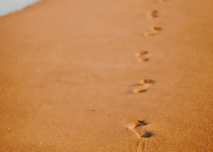 Au Bord De La Avec Parking à - Fr-1-652-55 * Saint-Hilaire-de-Riez